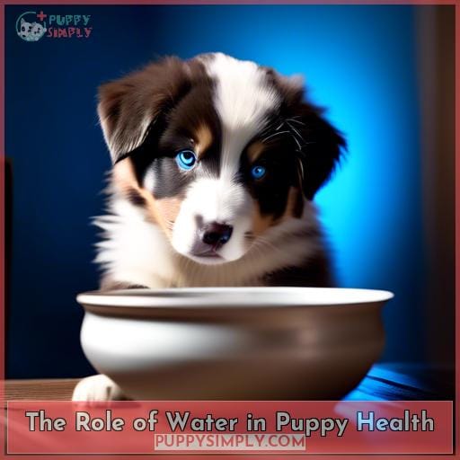 The Role of Water in Puppy Health