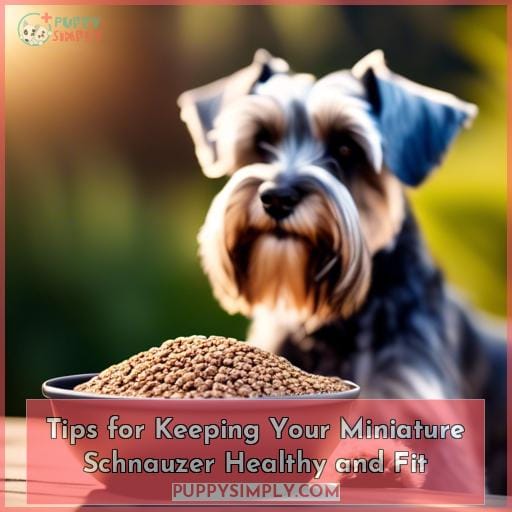 Tips for Keeping Your Miniature Schnauzer Healthy and Fit