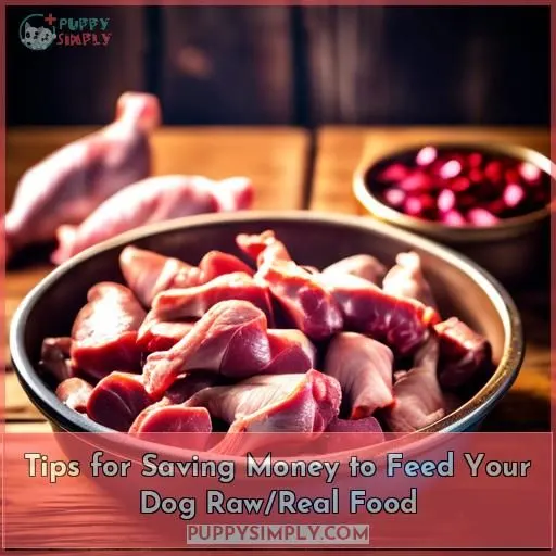 Tips for Saving Money to Feed Your Dog Raw/Real Food