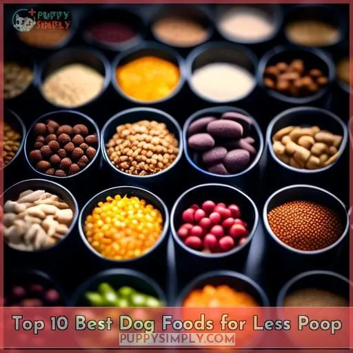 Top 10 Best Dog Foods for Less Poop
