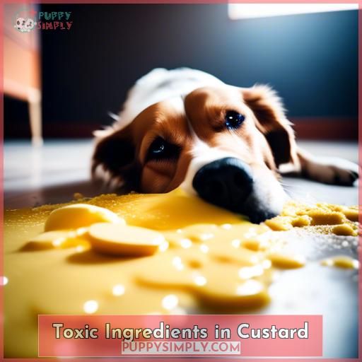 Toxic Ingredients in Custard