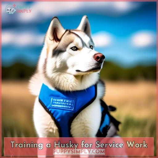 Training a Husky for Service Work