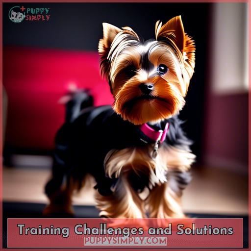 Training Challenges and Solutions
