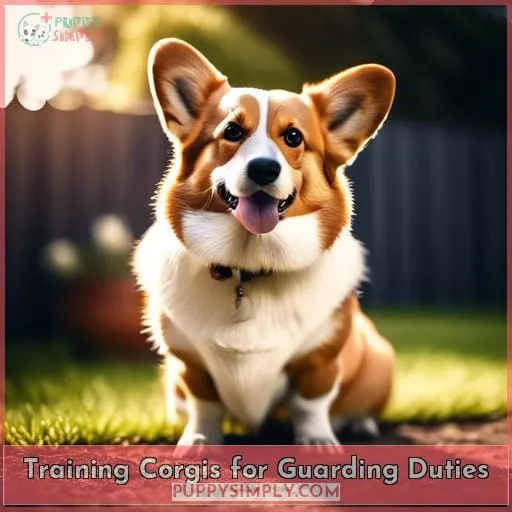 Training Corgis for Guarding Duties