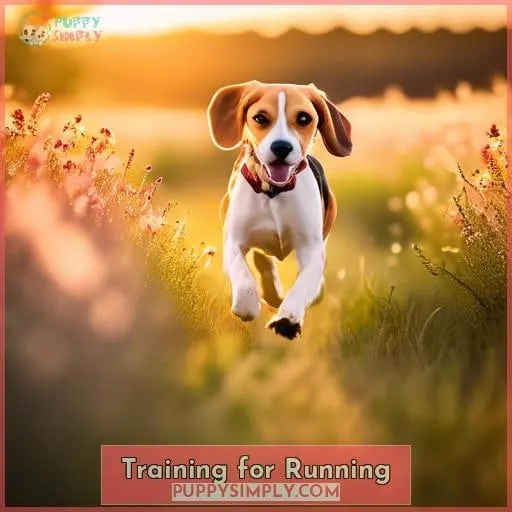 Training for Running