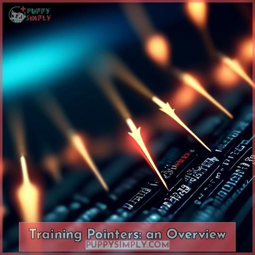 Training Pointers: an Overview