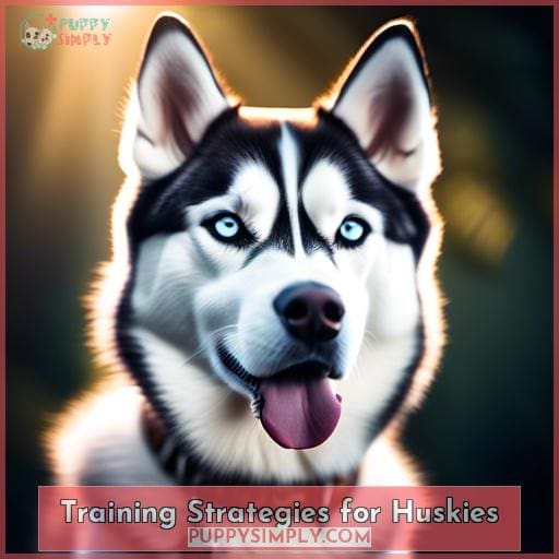 Training Strategies for Huskies