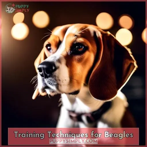 Training Techniques for Beagles