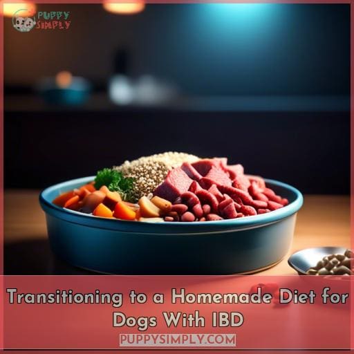 Transitioning to a Homemade Diet for Dogs With IBD