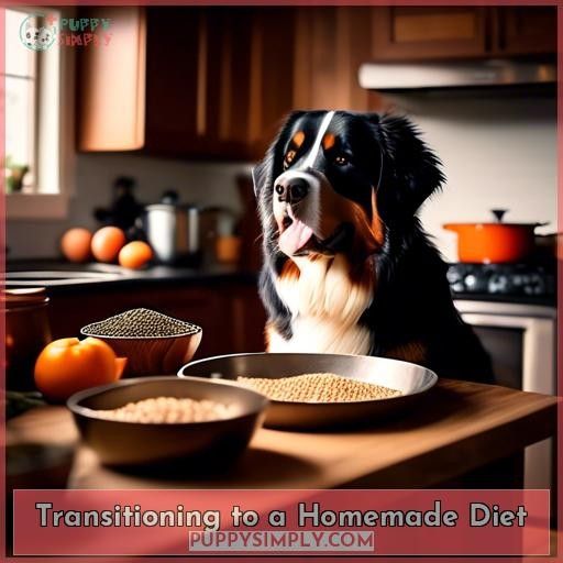 Transitioning to a Homemade Diet