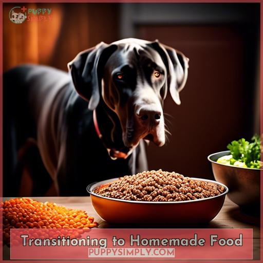 Transitioning to Homemade Food