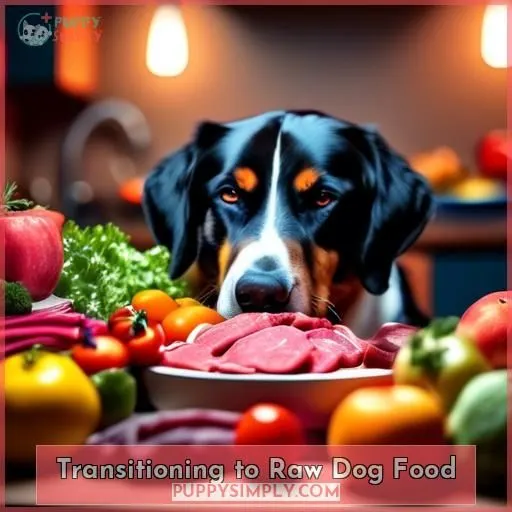 Transitioning to Raw Dog Food