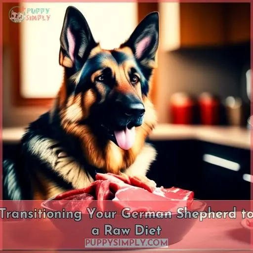 Transitioning Your German Shepherd to a Raw Diet