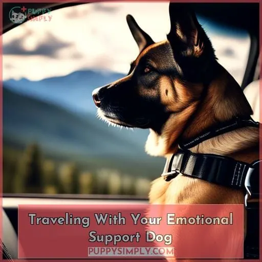 Traveling With Your Emotional Support Dog