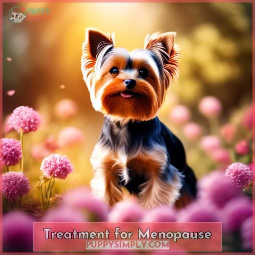 Treatment for Menopause