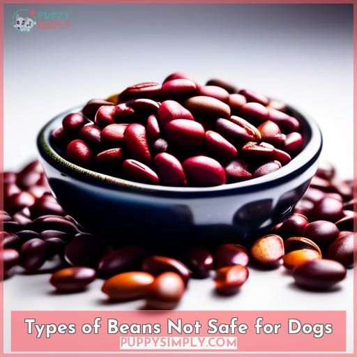 Types of Beans Not Safe for Dogs