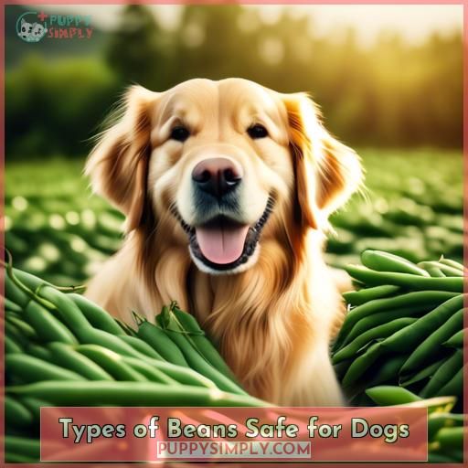 Types of Beans Safe for Dogs