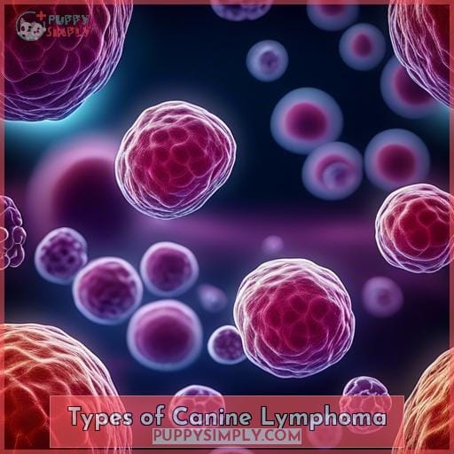 Types of Canine Lymphoma