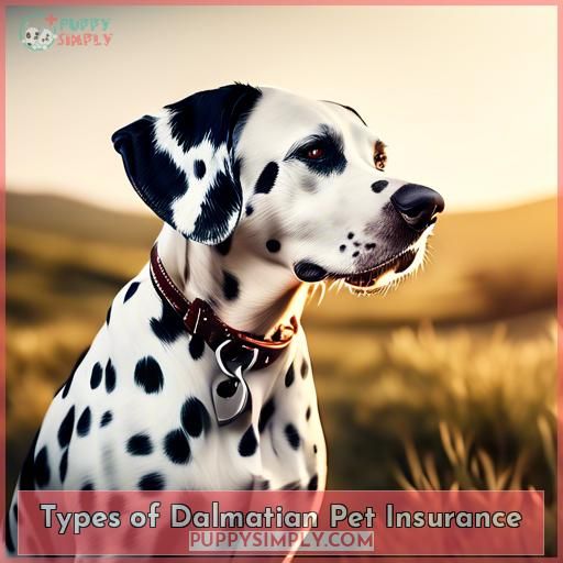 Types of Dalmatian Pet Insurance