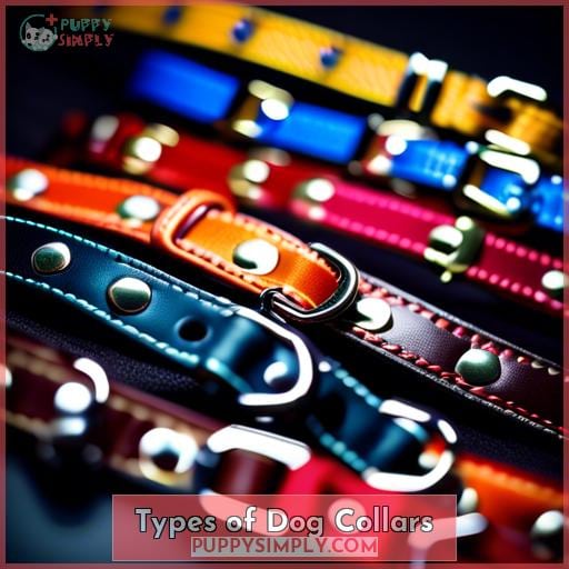 Types of Dog Collars