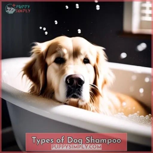 Types of Dog Shampoo