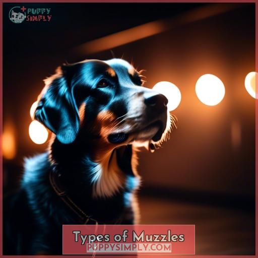 Types of Muzzles