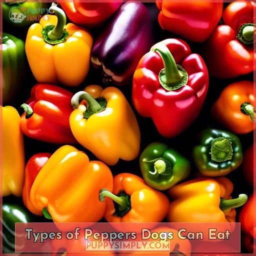Types of Peppers Dogs Can Eat