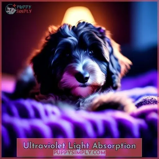 Ultraviolet Light Absorption