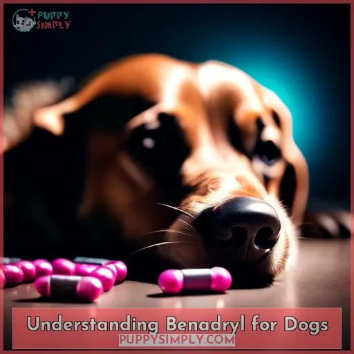 Understanding Benadryl for Dogs