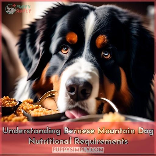 Understanding Bernese Mountain Dog Nutritional Requirements