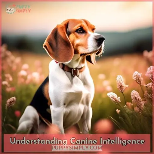 Understanding Canine Intelligence