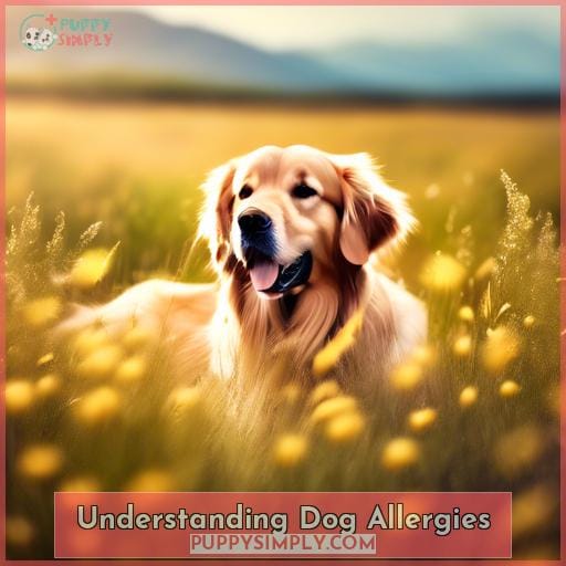 Understanding Dog Allergies Understanding Dog Allergies