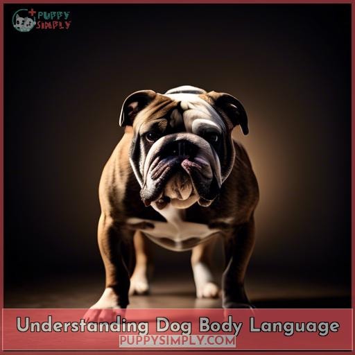 Understanding Dog Body Language