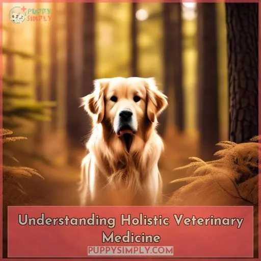 Understanding Holistic Veterinary Medicine