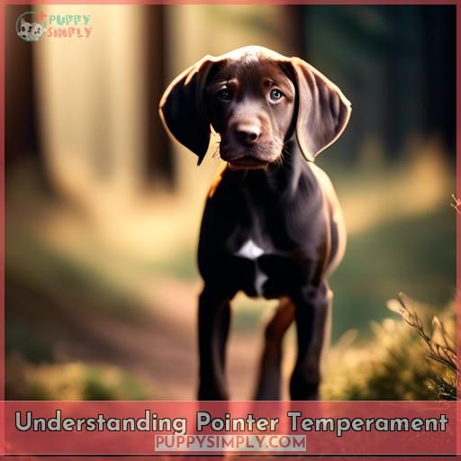 Understanding Pointer Temperament