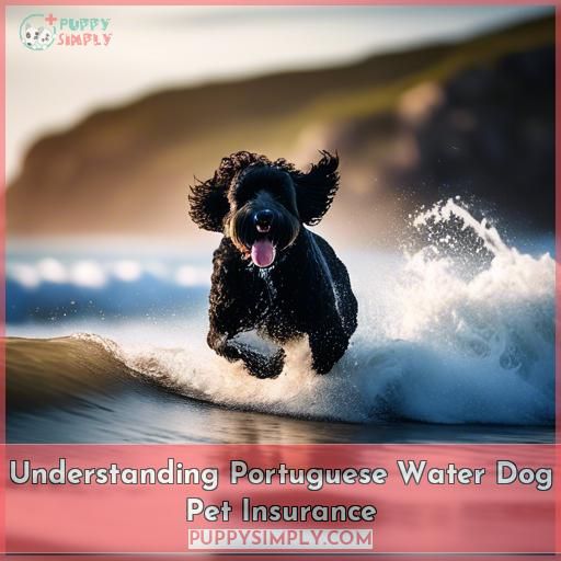 Understanding Portuguese Water Dog Pet Insurance