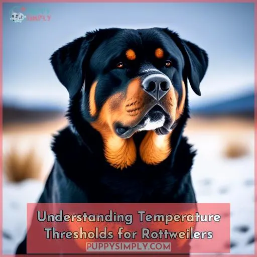 Understanding Temperature Thresholds for Rottweilers