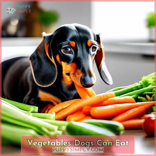 Vegetables Dogs Can Eat