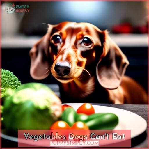 Vegetables Dogs Can