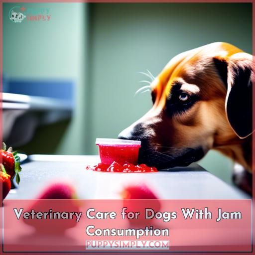 Veterinary Care for Dogs With Jam Consumption