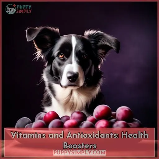 Vitamins and Antioxidants: Health Boosters