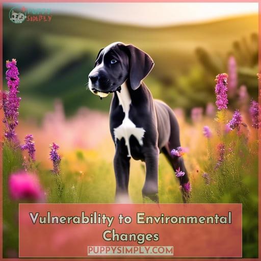 Vulnerability to Environmental Changes