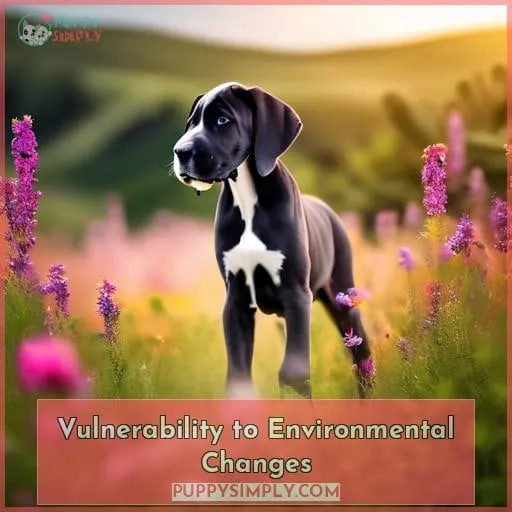 Vulnerability to Environmental Changes