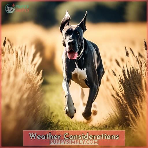 Weather Considerations Weather Considerations