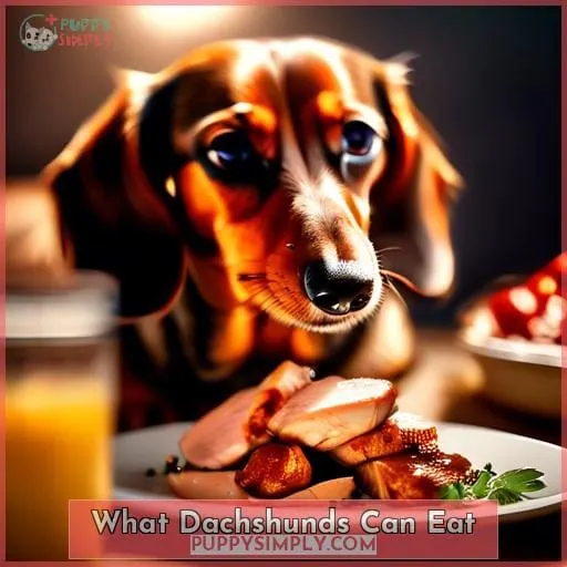 What Dachshunds Can Eat