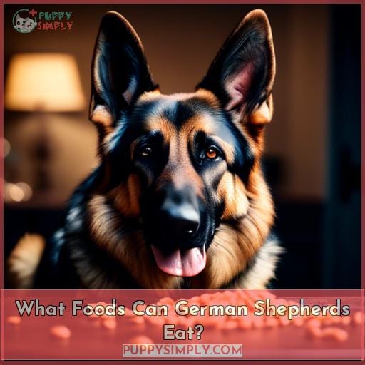 What Foods Can German Shepherds Eat