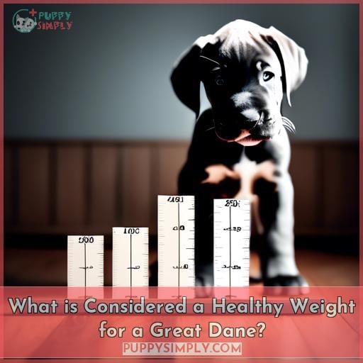 What is Considered a Healthy Weight for a Great Dane