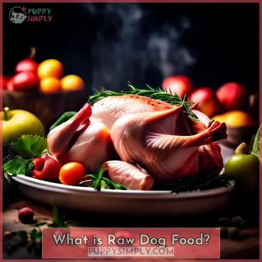 What is Raw Dog Food