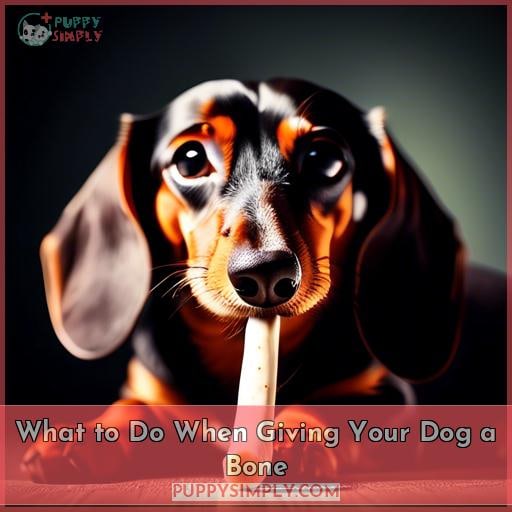 What to Do When Giving Your Dog a Bone