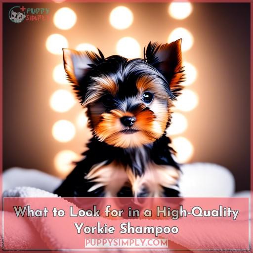 What to Look for in a High-Quality Yorkie Shampoo